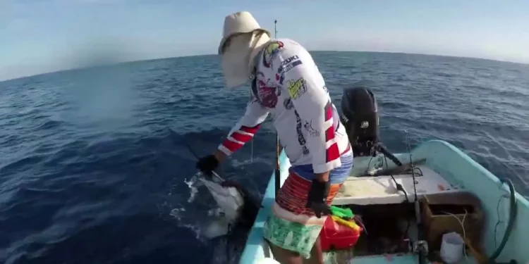 Este fin de semana se realizará el Torneo de Pesca en Tonameca.