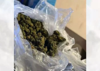 Ocho jóvenes en motocicletas fueron sorprendidos fumando marihuana.