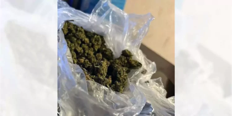 Ocho jóvenes en motocicletas fueron sorprendidos fumando marihuana.
