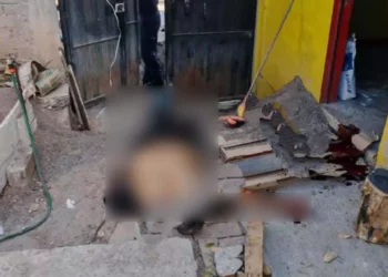 Presentaba un impacto de arma de fuego a la altura del cráneo y uno más a la altura del rostro.
