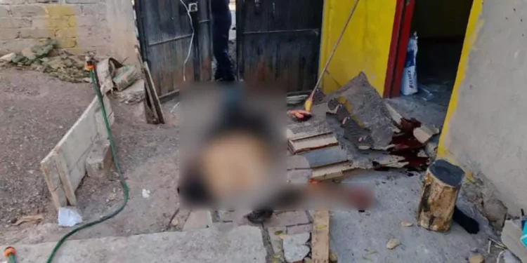 Presentaba un impacto de arma de fuego a la altura del cráneo y uno más a la altura del rostro.