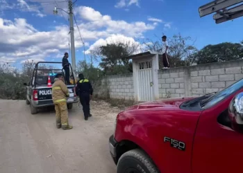 Reportan incendio de pastizales al interior de un domicilio.