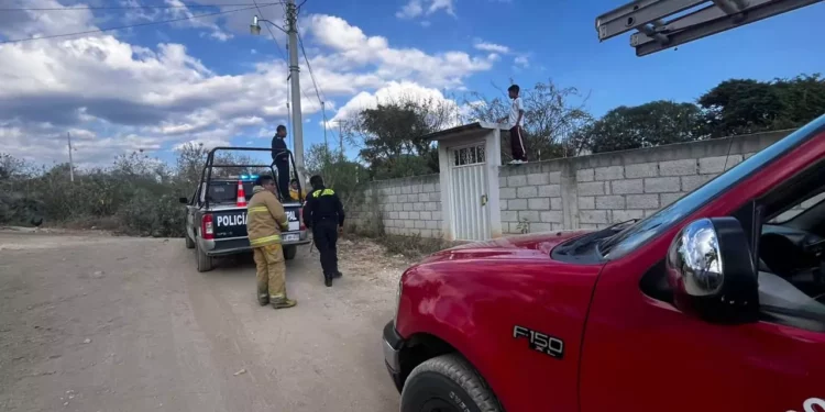 Reportan incendio de pastizales al interior de un domicilio.