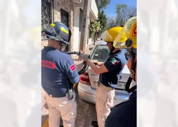 Bomberos y Protección Civil retiraron el cableado caído tras el paso de una unidad que huyó de la zona.