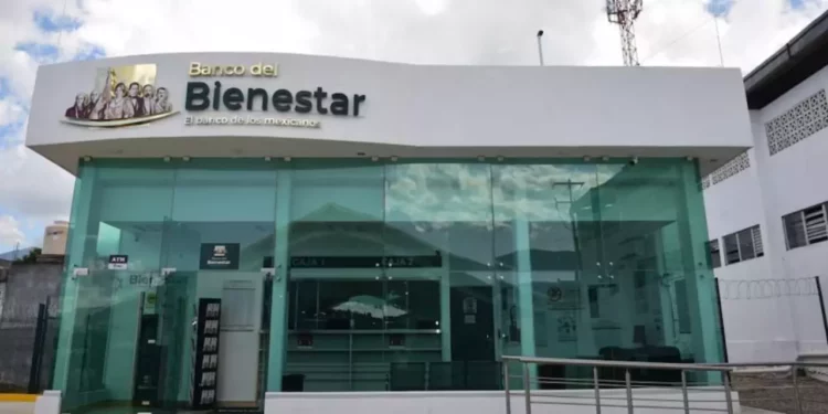 Primer depósito de la Pensión Bienestar 2026 iniciará en enero con calendario tentativo