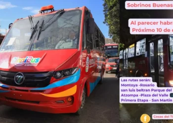 Crece el Binnibus en Oaxaca, pero surgen dudas por la incorporación de Sertexa