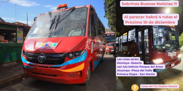 Crece el Binnibus en Oaxaca, pero surgen dudas por la incorporación de Sertexa