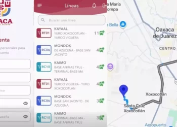 VIDEO | BinniBus estrena App para orientar a usuarios del transporte público