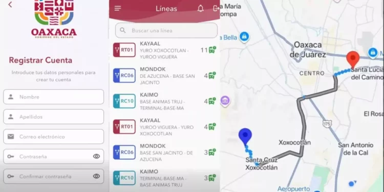 VIDEO | BinniBus estrena App para orientar a usuarios del transporte público