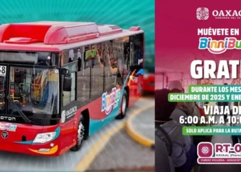 Binnibus anuncia viaje gratuito durante diciembre en ruta troncal RT-01