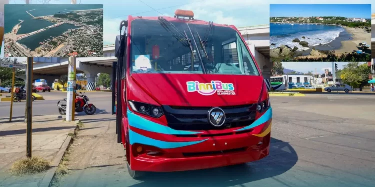 Binnibus apunta al Istmo y la Costa: el transporte que busca salir de los Valles Centrales