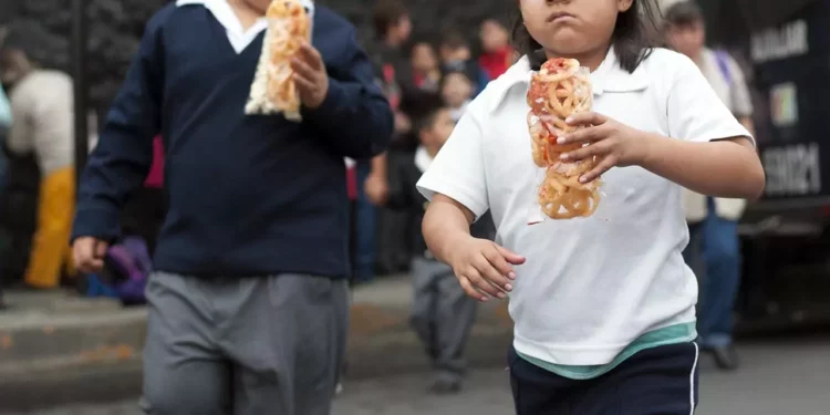 Foto: ilustrativa // En México cerca del 40% de niñas y niños en edad escolar y el 43.8% de adolescentes presentan sobrepeso u obesidad.