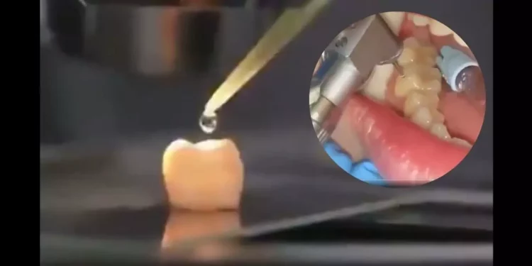 China en modo 2050: crean líquido regenerador de dientes