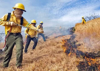 Foto: Gobierno de Oaxaca // Combatientes se anticipan a la próxima temporada de incendios.