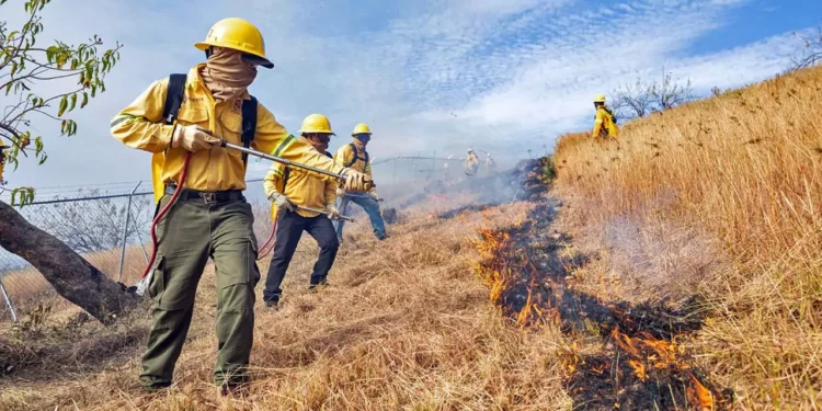 Foto: Gobierno de Oaxaca // Combatientes se anticipan a la próxima temporada de incendios.
