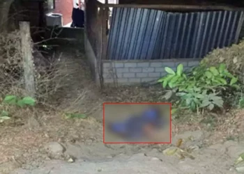 El hombre fue identificado como Alfredo Núñez Blanch, de 57 años de edad.