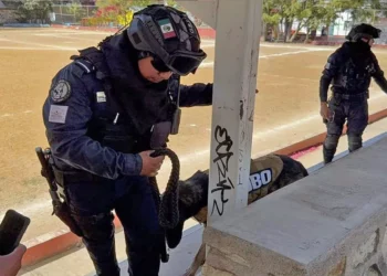 Estas acciones buscan generar un entorno escolar más seguro y responder a inquietudes de la comunidad educativa.