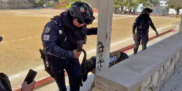 Estas acciones buscan generar un entorno escolar más seguro y responder a inquietudes de la comunidad educativa.