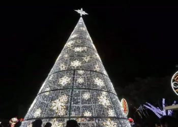 Foto: Adrián Gaytán // El Festival dio inicio con el encendido del árbol navideño el 30 de noviembre a las 18:00 horas.
