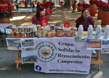 Foto: Adrián Gaytán // El campo oaxaqueño está infestado de agroquímicos, advierten investigadores.