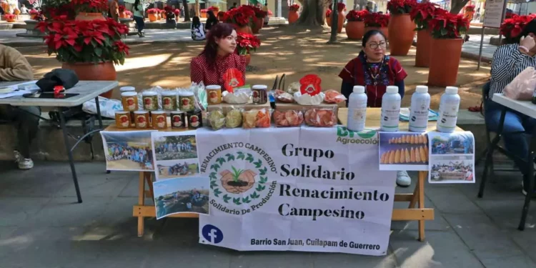 Foto: Adrián Gaytán // El campo oaxaqueño está infestado de agroquímicos, advierten investigadores.
