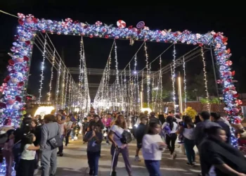 Foto: Adrián Gaytán // Festividad navideña en el Parque Primavera.