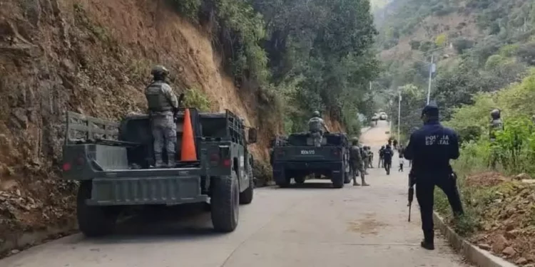 Perros devoran el cuerpo de un hombre desaparecido