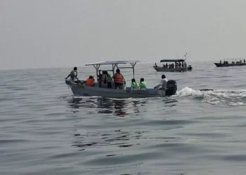 Realizan recorrido de avistamiento de ballenas durante el Ballena Fest en Puerto Ángel