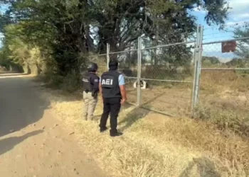 La autoridad halló el predio cerrado y sin rastro del perro; se iniciará la investigación.