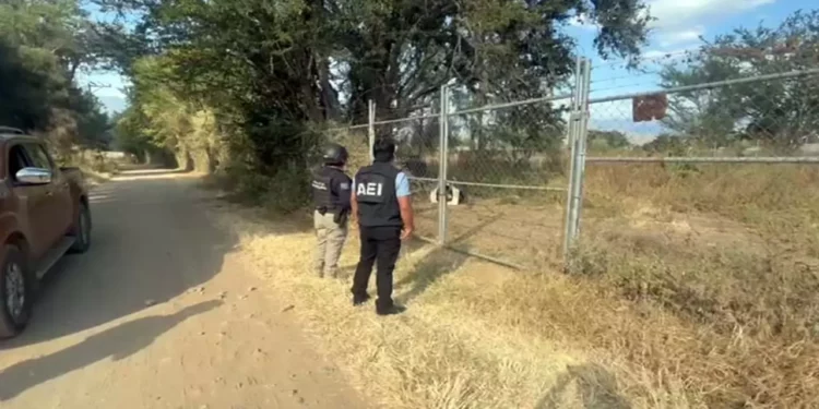 La autoridad halló el predio cerrado y sin rastro del perro; se iniciará la investigación.