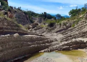 Los hallazgos impulsan acciones de protección y registro en la Reserva de la Biosfera.