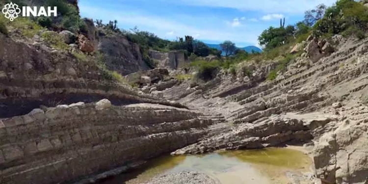 Los hallazgos impulsan acciones de protección y registro en la Reserva de la Biosfera.