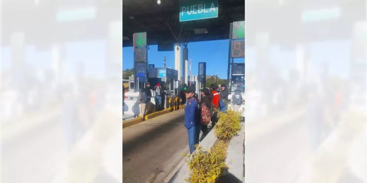 Los inconformes exigieron a la burocracia del gobierno sensibilidad ante su situación y reclamaron la restitución de sus plazas laborales.