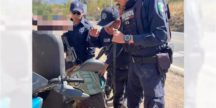 Mediante el filtro de seguridad, policías municipales detuvieron a un motociclista en una motoneta azul por portar droga.