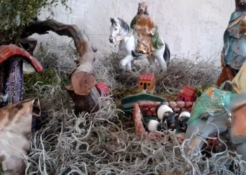 ¿Usas musgo en Navidad? La UNAM advierte por su impacto ambiental