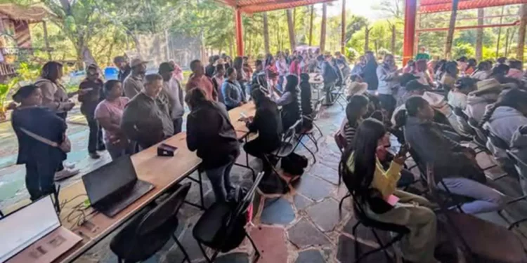 Oaxaca se ha convertido en una de las entidades con mayor avance en el proceso organizativo, dijeron.