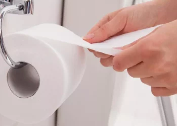 ¿Cambiarías el papel higiénico por chorros de agua?
