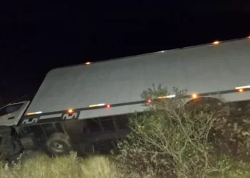 Fuerte viento provoca volcadura de camión de carga en carretera del Istmo de Tehuantepec