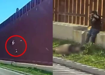 Foto: captura de video: Caen personas del muro fronterizo con Estados Unidos.