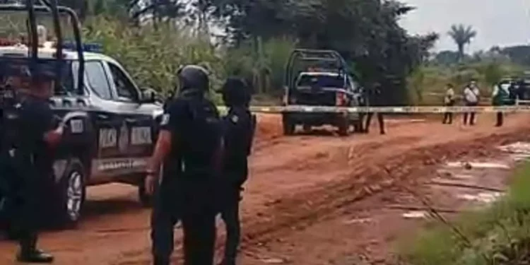 Hallan cadáveres humanos en Tuxtepec