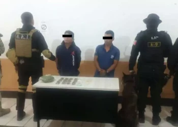 Operativo conjunto en la Sierra de Flores Magón deja dos detenidos y arsenal asegurado