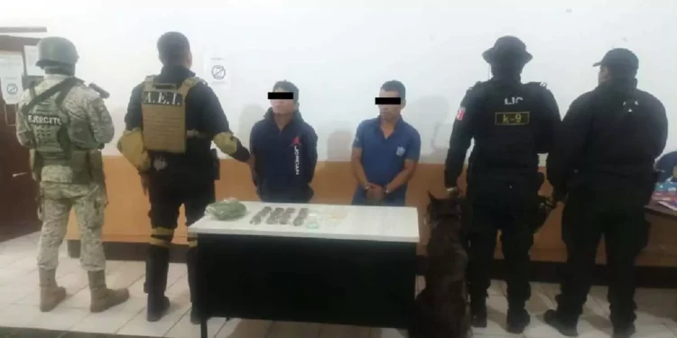 Operativo conjunto en la Sierra de Flores Magón deja dos detenidos y arsenal asegurado