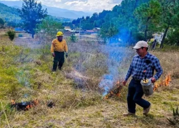 Foto: Alain Albarrán // Se prepara Tlaxiaco para la temporada de incendios.