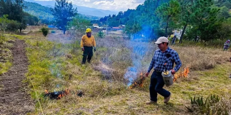 Foto: Alain Albarrán // Se prepara Tlaxiaco para la temporada de incendios.