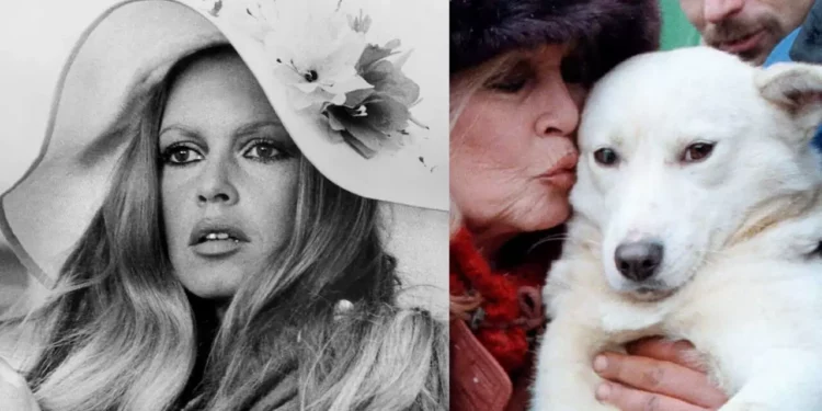 Fallece Brigitte Bardot a los 91 años: del cine a la defensa global de los animales