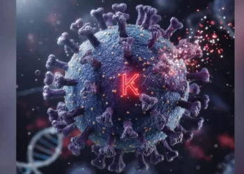 Llega a México la “Súper Gripa”: confirman el primer caso de influenza A H3N2