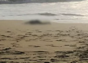 Hallan cuerpo en descomposición en playa Zicatela; autoridades investigan