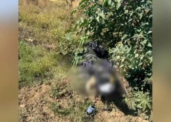 Tras el macabro hallazgo de dos cadáveres embolsados entre Tlalixtac y Tomaltepec, Fiscalía investiga detalles del caso