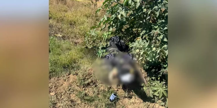 Tras el macabro hallazgo de dos cadáveres embolsados entre Tlalixtac y Tomaltepec, Fiscalía investiga detalles del caso