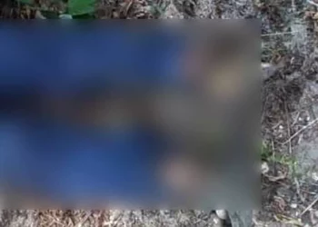 Laureano H. A., de 47 años, fue asesinado mientras acarreaba jamaica en Magdalena Loxicha; su muerte es investigada por la Fiscalía local.